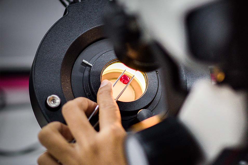 Gems Laboratory Asian Institute of Gemological Sciences (AIGS)