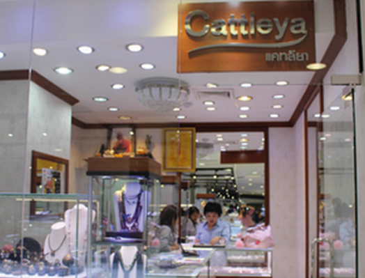 Cattleya 3