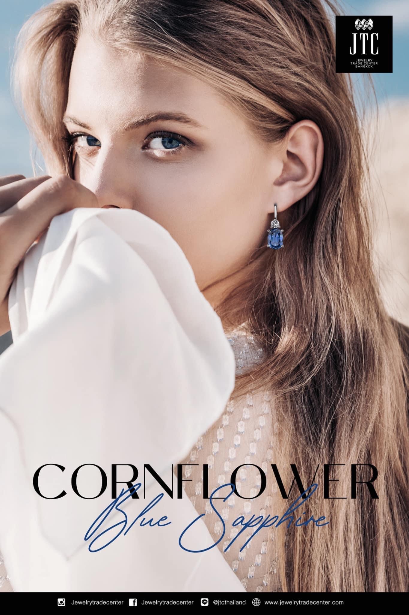 อัญมณีสีน้ำเงิน หรือ ไพลิน ( Blue Sapphire)