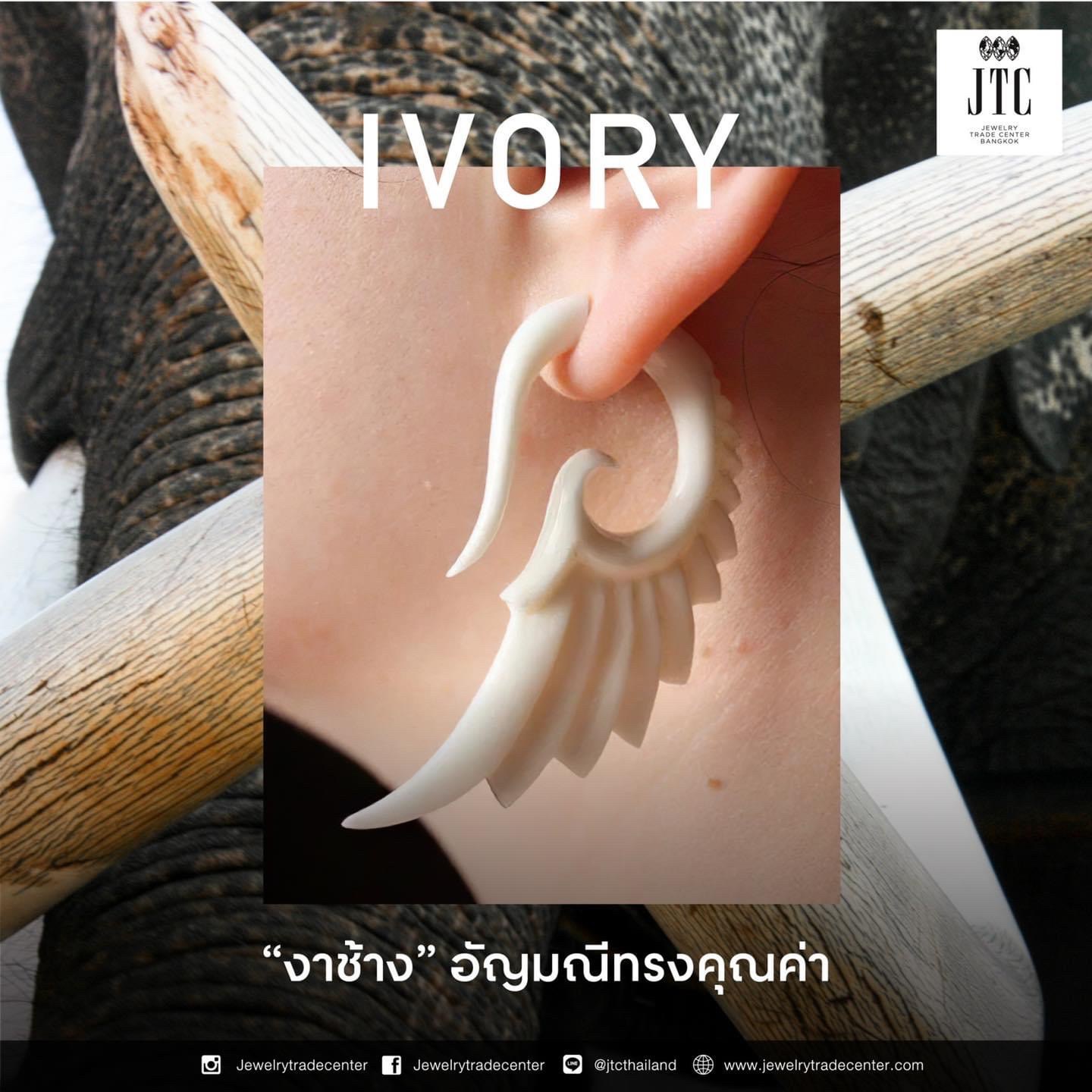 อัญมณีที่ได้มาจากสิ่งมีชีวิต